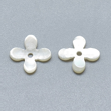 Natural White Shell Beads(SSHEL-S260-056A-01)-2