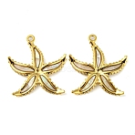 Natural Shell Pendants, Starfish Charms with Ion Plating(IP) 304 Stainless Steel Findings, Real 18K Gold Plated, 28x24x12mm, Hole: 1.8mm(X-STAS-P341-03G-02)