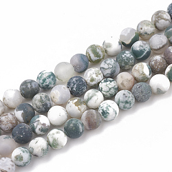 Natural Tree Agate Beads Strands, Frosted, Round, 6mm, Hole: 1mm, about 63pcs/strand, 15.5 inch(X-G-T106-037)