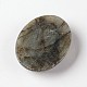 Естественно лабрадорита драгоценный камень овальной кабошоны(X-G-J329-01-13x18mm)-3