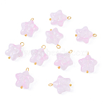 10Pcs Star with Bowknot Glass Pendants, with Golden Tone Brass Loops, Pink, 18mm, Hole: 2mm, 10pcs/set(PALLOY-YW00059-02)