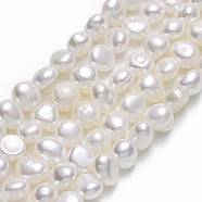 Natural Cultured Freshwater Pearl Beads Strands, Two Sides Polished, Linen, 4.5~5x5~5.5x3.5~4.5mm, Hole: 0.6mm, about 76pcs/strand, 13.58~13.78''(34.5~35cm)(PEAR-A005-07F-01)