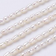 Natural Cultured Freshwater Pearl Beads Strands, Rice, Floral White, 3.5~4x2.5~3mm, Hole: 0.2mm, about 95~100pcs/strand, 15.1 inch(PEAR-P002-45-01)
