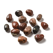 Natural Sesame Jasper Beads, Tumbled Stone, Vase Filler Gems, No Hole/Undrilled, Nuggets, 17~30x15~27x8~22mm(G-G979-A16)