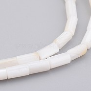 Natural Shell Bead Strands, Dyed, Column, Floral White, 8x4mm, Hole: 0.5mm, about 50pcs/strand, 15.7 inch(X-BSHE-P016-05)