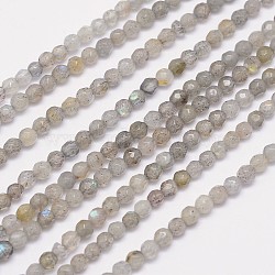 Faceted Round Natural Labradorite Bead Strands, 3mm, Hole: 1mm, about 124pcs/strand, 15.5 inch(G-I156-03-3mm)