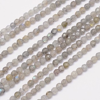 Faceted Round Natural Labradorite Bead Strands, 3mm, Hole: 1mm, about 124pcs/strand, 15.5 inch