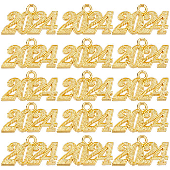 50Pcs Alloy Charms, Number 2024, Golden, 18~19x32~33x2mm, Hole: 3mm