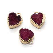 Resin with Golden Zinc Alloy Charms, Heart, Red, 12x15mm(RESI-CJC0009-04C)