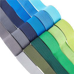 30M 12 Colors Colored Flat Elastic Rubber Band, Webbing Garment Sewing Accessories, Mixed Color, 25mm, about 2.37~2.5m/color(EC-BC0001-51)