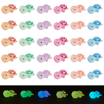 36Pcs 6 Colors Luminous Translucent Resin Sea Animal Cabochons, Little Turtle, Glow in Dark, Mixed Color, 23x13x8.5mm, 6pcs/color