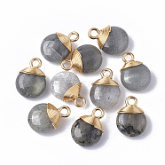 Natural Labradorite Pendants, with Golden Tone Brass Wires and Iron Loops, Half Hole/Drilled, Flat Round, 14~15x10~11x5~6mm, Hole: 1.5~2mm(X-G-S359-021A)