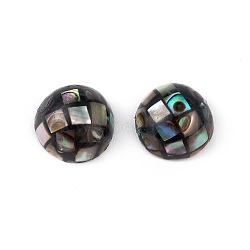 Synthetic Abalone Shell/Paua Shell Beads, Half Round, Colorful, 8x3.5mm(SSHEL-K001-001C)