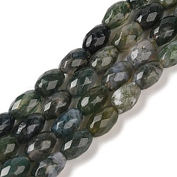 Natural Moss Agate Beads Strands, Faceted, Oval, 12x8mm, Hole: 1.2mm, about 32pcs/strand, 15.59''(39.6cm)(G-Q194-B03-01)