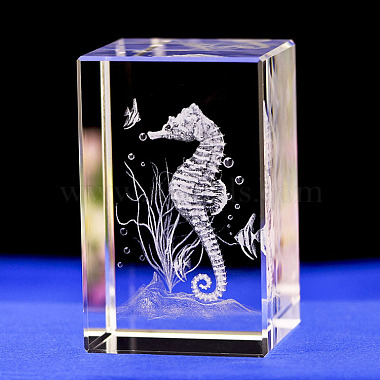 Clear Glass Display Decorations