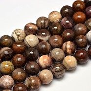 Natural Petrified Wood Round Bead Strands, 12mm, Hole: 1mm, about 31pcs/strand, 15 inch(G-F266-08-12mm)