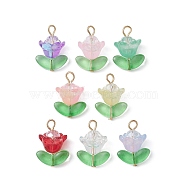8Pcs 8 Color Glass Pendant, Flower of Life Charms, Mixed Color, 19.5x13.5x10mm, Hole: 3x2mm, 1Pc/color(PALLOY-JF02368)