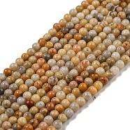 Natural Crazy Agate Bead Strands, Round, 2mm, Hole: 0.8mm, about 184pcs/strand, 16 inch(G-A130-2mm-K10)
