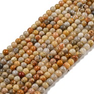 Natural Crazy Lace Agate Bead Strands, Grade A, Round, 2mm, Hole: 0.8mm, about 184pcs/strand, 16 inch(G-A130-2mm-K10)