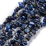 Natural Lapis Lazuli Beads Strands, Grade AB, Chip, 3~16x3~8mm, Hole: 0.7mm, 32.28''(82cm)(G-G011-05B)