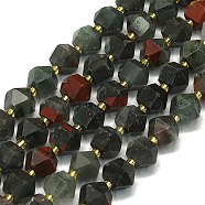 Natural Bloodstone Beads Strand, Octagonal, Faceted, 9~10.5x9~10.5x7.5~8.5mm, Hole: 1mm, about 36~40pcs/strand, 15.35~15.55 inch(39~39.5cm)(G-I376-A16-01)