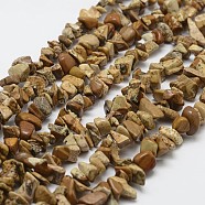 Natural Picture Jasper Beads Strands, Chip, BurlyWood, 3~5x7~13x2~4mm, Hole: 0.4mm, 31.5 inch(G-F328-08)