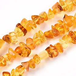 Natural Amber Beads Strands, Chip, Gold, 2~5.5x5~12x5~6.5mm, Hole: 0.6mm, about 97pcs/strand, 14.41~14.96''(36.6~37.4cm)(G-T138-235A)