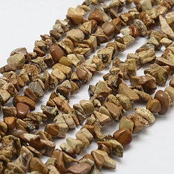 Natural Picture Jasper Beads Strands, Chip, BurlyWood, 3~5x7~13x2~4mm, Hole: 0.4mm, 31.5 inch(G-F328-08)