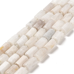 Natural Rainbow Moonstone Beads Strands, with Seed Beads, Faceted, Column, 8.5~11x5.5~6.5mm, Hole: 1mm, about 14~15pcs/strand, 7.48''(19cm)(G-N327-06-38)