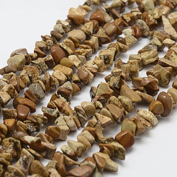 Natural Picture Jasper Beads Strands, Chip, BurlyWood, 3~5x7~13x2~4mm, Hole: 0.4mm, 31.5 inch