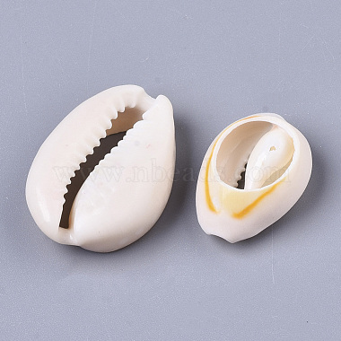 Natural Cowrie Shell Beads(X-SSHEL-N034-34)-3