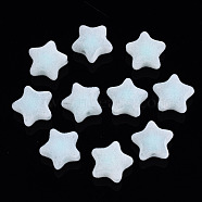 Flocky Acrylic Beads, Bead in Bead, Star, Pale Turquoise, 15x16x9mm, Hole: 2mm(X-MACR-S275-25B-02)