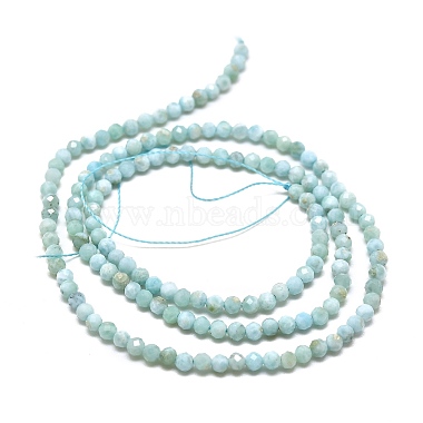 Natural Larimar Beads Strands(G-A187-02B)-2