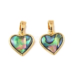 Natural Paua Shell Heart Charms, with Brass Settings, Real 18K Gold Plated, 12x11.5x3.5mm, Hole: 5x2.5mm(KK-G538-20G)