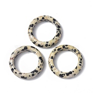 Natural Dalmatian Jasper Plain Band Ring, Gemstone Jewelry for Women, US Size 6 1/2(16.9mm)(RJEW-P044-01A-04)