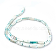 Freshwater Shell Beads Strands, Dyed, Rectangle, Turquoise, 14~15x5~8x2~6mm, Hole: 0.6mm, about 28~30pcs/strand, 16.1 inch(41cm)(BSHE-O017-03A)