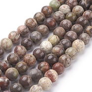 Natural Gemstone Beads Strands, Ocean Jasper, Dyed, Round, Brown, 6mm, Hole: 1mm, 15.7 inch, about 60pcs/strand(X-G-D062-6mm-1)