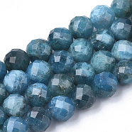 Natural Apatite Beads Strands, Faceted, Round, 5.5~6x6mm, Hole: 1mm, about 29~32pcs/strand, 7.48 inch(G-S345-6mm-008)
