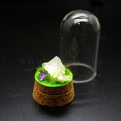 Raw Nuggets Natural Quartz Crystal Specimen Display Decorations, Cork & Glass Arch Bell Jar for Micro Landscape Home Decorations, 30x59mm(PW-WG94411-03)