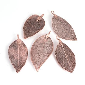 Electroplated Natural Leaf Big Pendants, with Iron Findings, Copper Plated, 70~100x30~50x1mm, Hole: 3x6mm