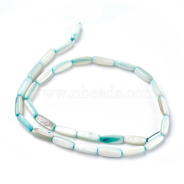 Turquoise Rectangle Freshwater Shell Beads
