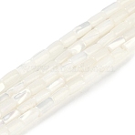 Natural Freshwater Shell Beads Strands, Column, Seashell Color, 6~6.5x3.5mm, Hole: 0.7mm, about 61~63pcs/strand, 15.83''(40.2cm)(BSHE-H109-16)