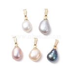 Natural Cultured Freshwater Pearl Potato Charms, with 304 Stainless Steel Findings, Golden, Mixed Dyed and Undyed, Mixed Color, 12~14.5x7.5~9x6~7mm, Hole: 4.5x1.5mm(PALLOY-JF04844)