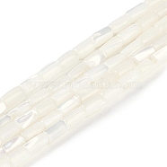 Natural Freshwater Shell Beads Strands, Column, Seashell Color, 6~6.5x3.5mm, Hole: 0.7mm, about 61~63pcs/strand, 15.83''(40.2cm)(BSHE-H109-16)