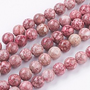 Natural Fossil Coral Beads Strands, Round, 8~8.5mm, Hole: 1mm, about 46pcs/strand, 14.7 inch(37.5cm)(G-F563-01-8mm)