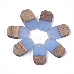 Resin & Walnut Wood Pendants, Oval, Cornflower Blue, 20.5x11.5x3mm, Hole: 2mm(RESI-S358-41C)