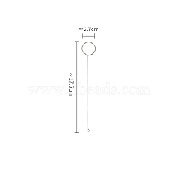 Steel Sewing Loop Turner Hooks, Long Loop Turner Tool with Latch, for Fabric Belts Strips DIY Knitting Accessories, Stainless Steel Color, 175x27mm, Pin: 1.5mm.(SENE-PW0002-087A)