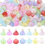 70Pcs 7 Colors Acrylic Pendants, with Brass Findings, Flower Charms, Golden, Mixed Color, 13mm, Hole: 2.5mm, 10pcs/color(PALLOY-YW00161)