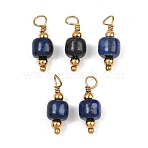 Natural Gemstone Pendants, with 304 Stainless Steel Findings, Barrel Charm, Ion Plating(IP), Real 18K Gold Plated, 16.5~17x6~6.5mm, Hole: 3mm(GG-CBA5E56-04G-02)