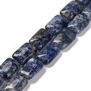 Natural Blue Spot Jasper Beads Strands, Rectangle, 18x13.5x5.5mm, Hole: 1.2mm, about 22pcs/strand, 15.75 inch(40cm)(G-T047-B10-01)